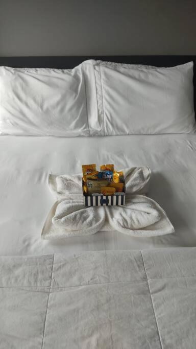 Apartamento Na Oscar Freire *